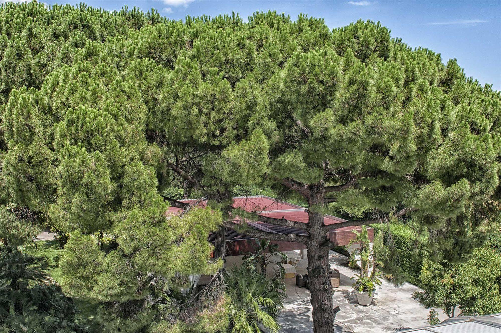 Garden Hotel Molfetta Zewnętrze zdjęcie