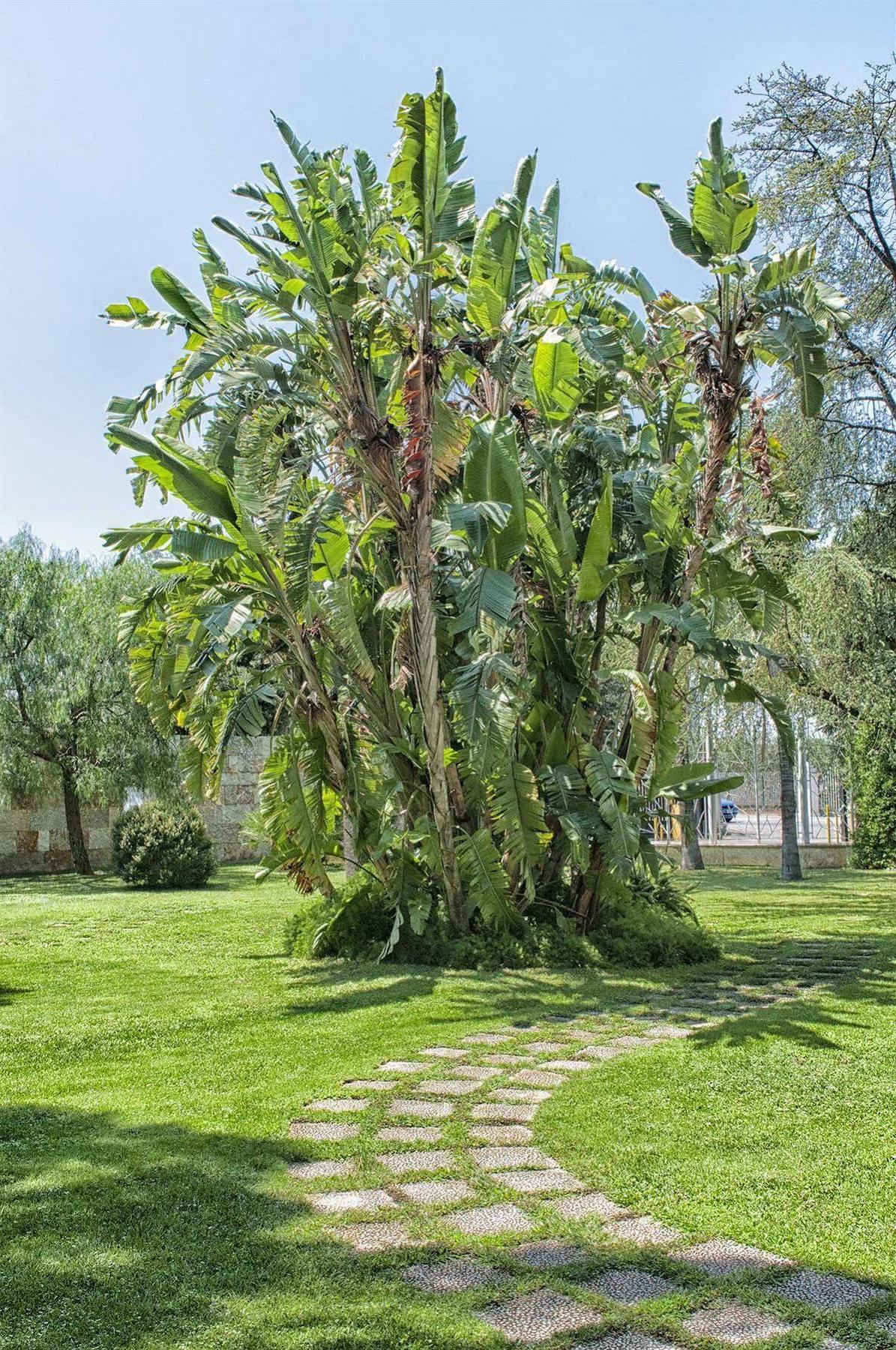 Garden Hotel Molfetta Zewnętrze zdjęcie